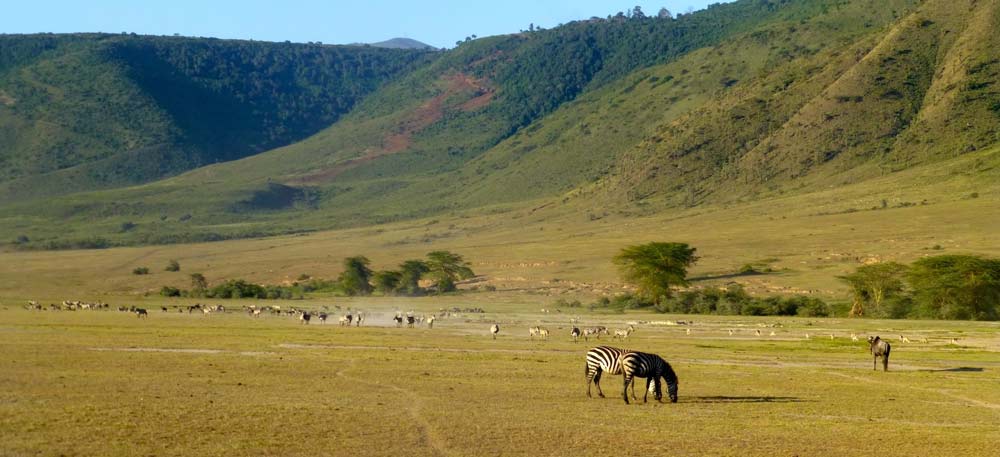 ngorongoro